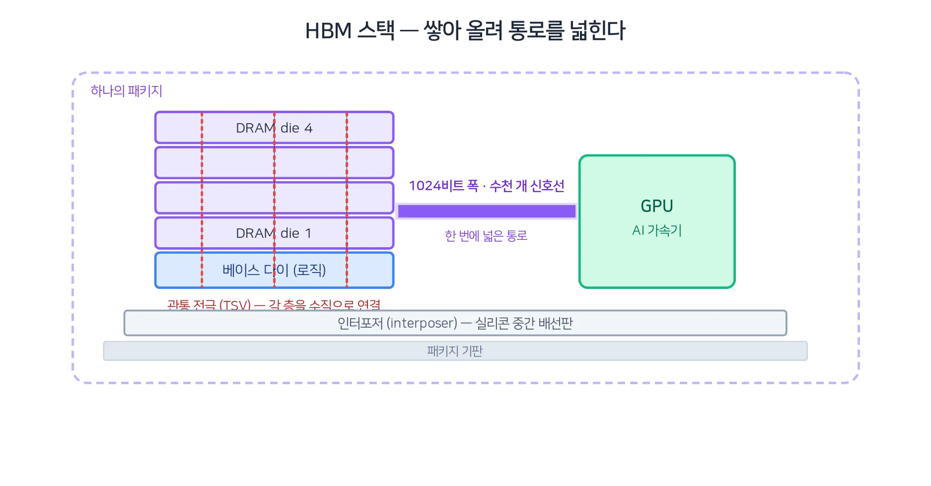 HBM 스택 단면 — D램 다이를 층층이 쌓고 TSV로 관통해, 인터포저 위 GPU 옆에 '넓은 통로'로 붙인 구조