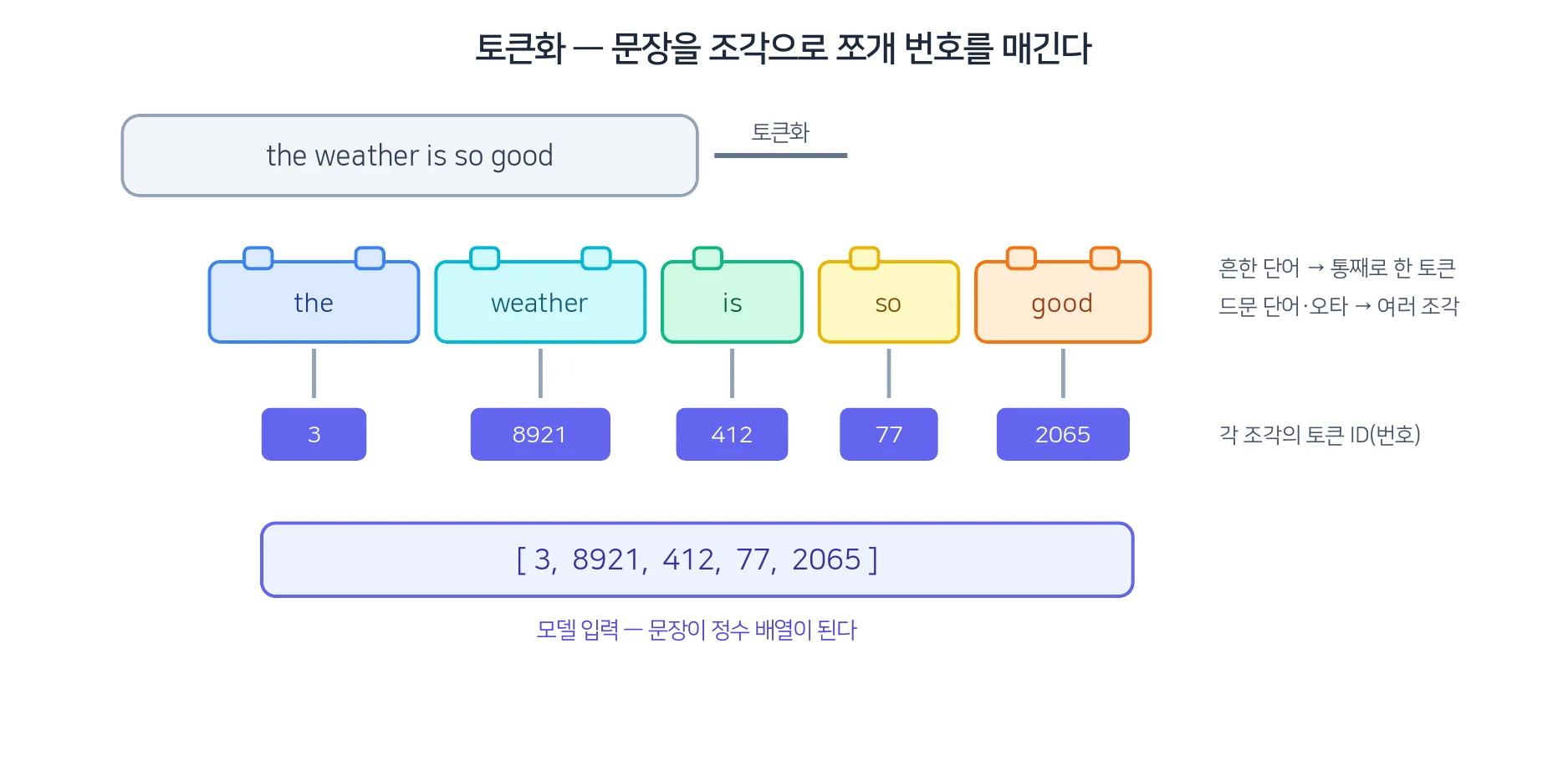 문장이 토큰 조각으로 쪼개지고, 각 조각이 고유 번호로 바뀌어 모델에 들어간다.