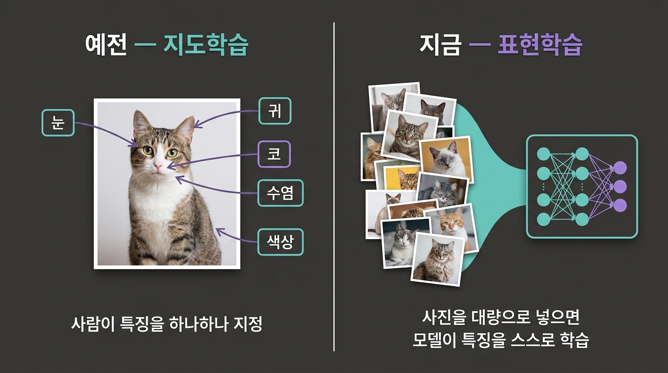 cat recognition learning old vs new